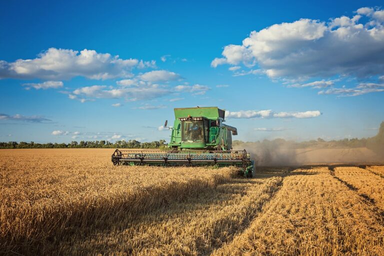 harvesting-combine-field